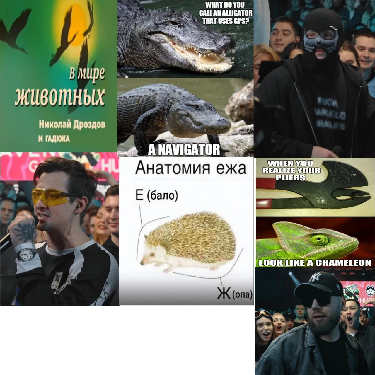 КУБОК МЦ: В МИРЕ ЖИВОТНЫХ