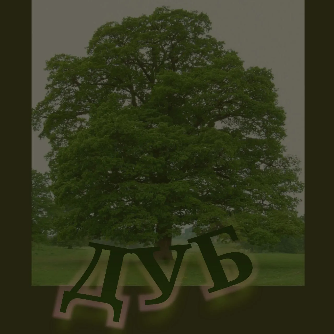 БАТТЛ-РЭП И ТРИ БУКВЫ! - РЕЧЬ НЕ ПРО ХУЙ И ДАЖЕ НЕ ПРО РБЛ!