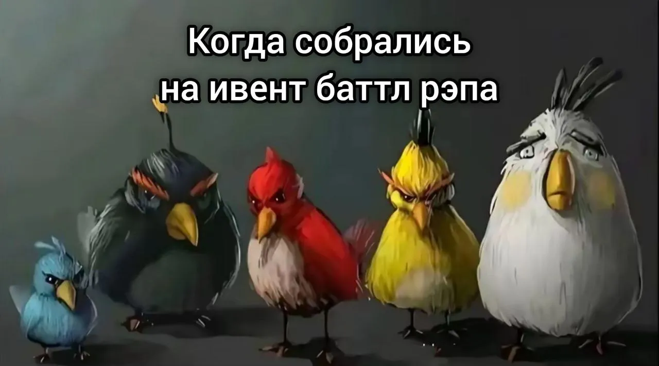 6554648576
